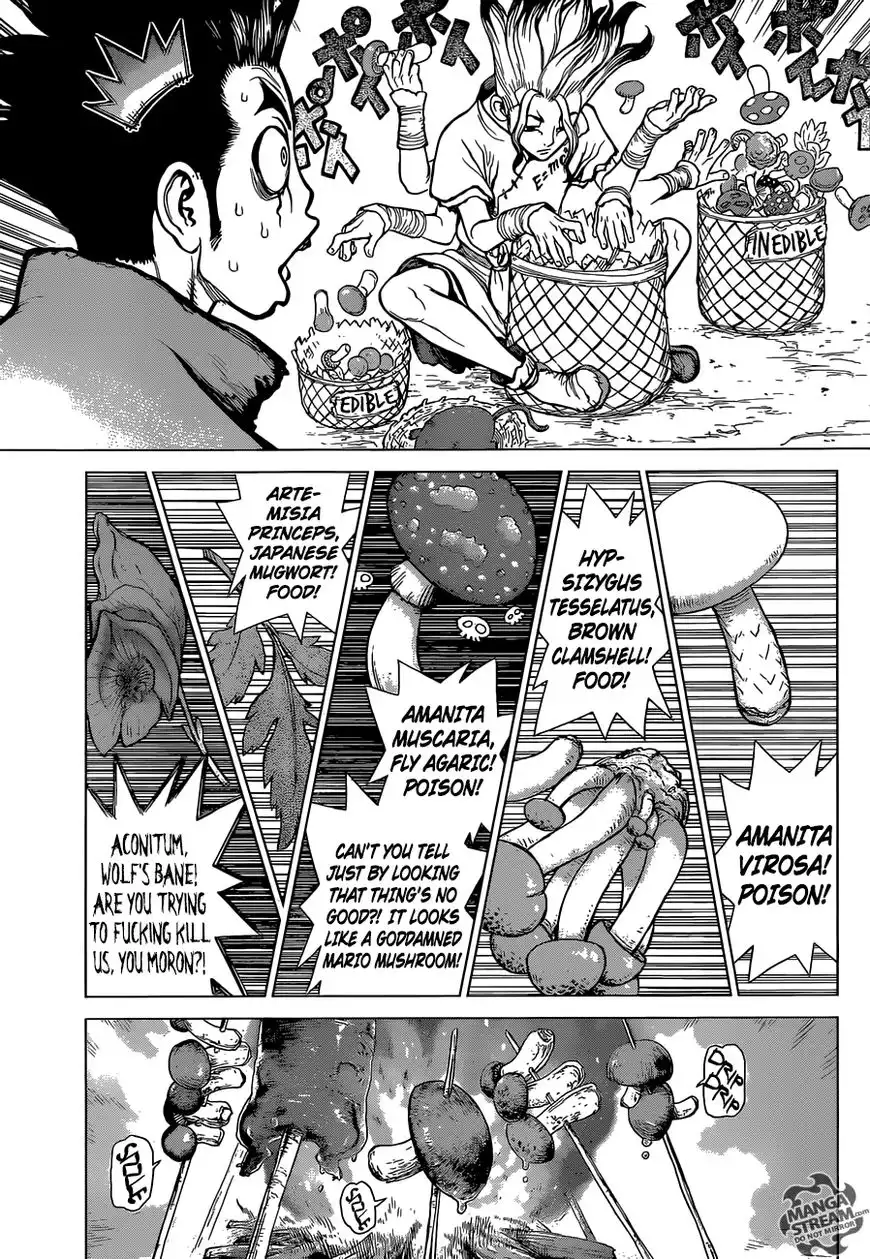 Dr. Stone Chapter 2 4